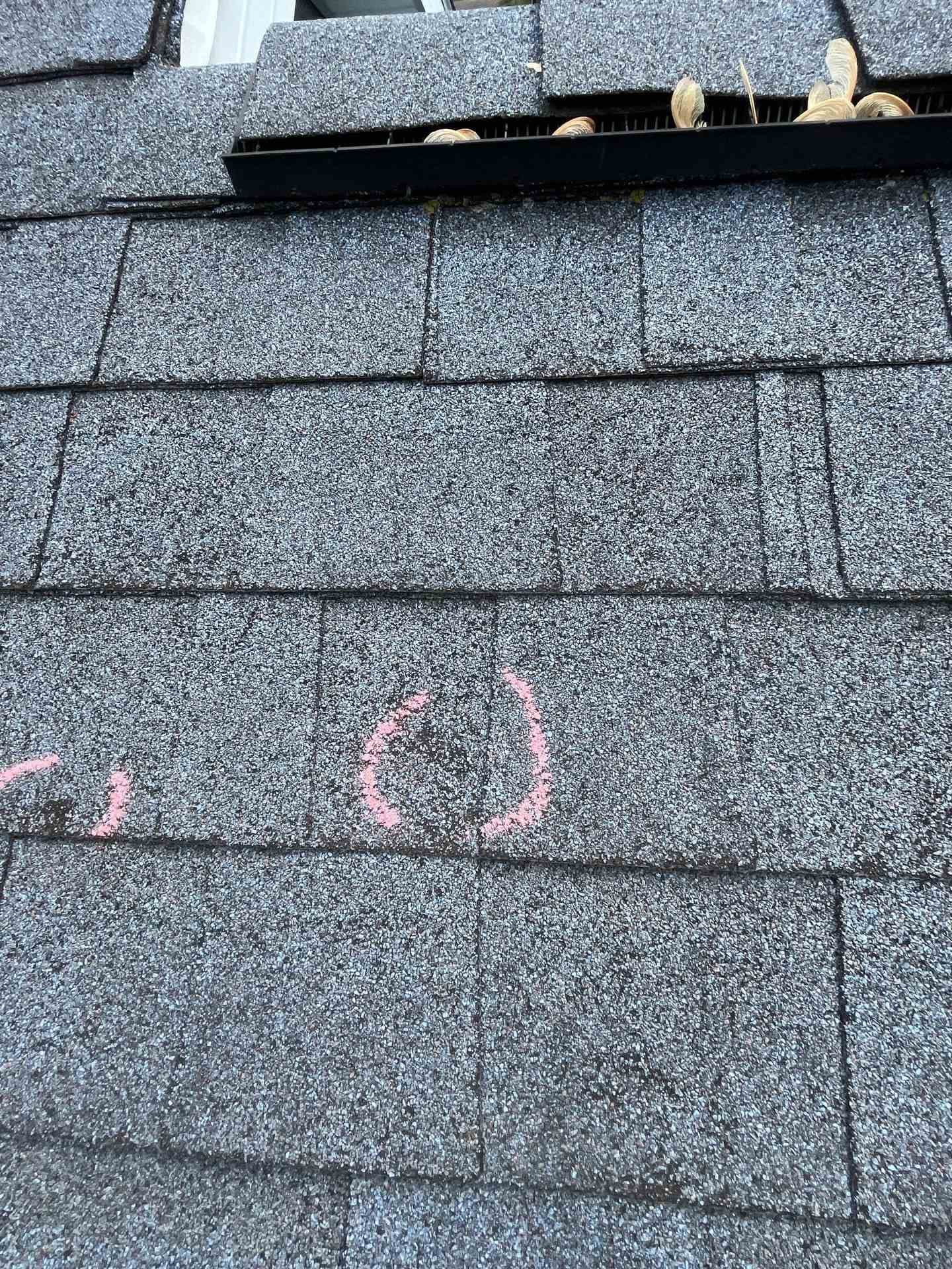 Hail Damage Repair job image