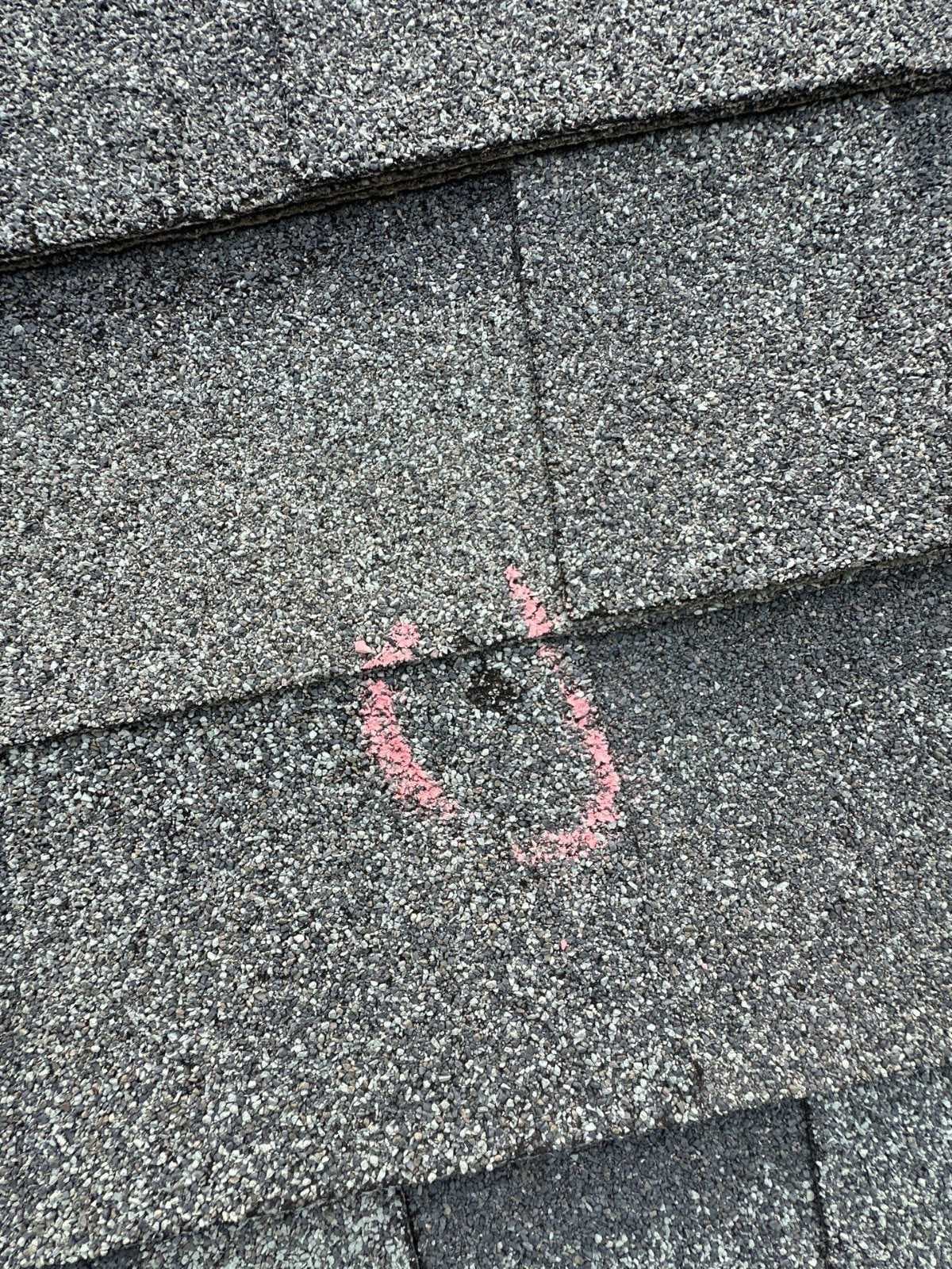 Hail Damage Repair job image